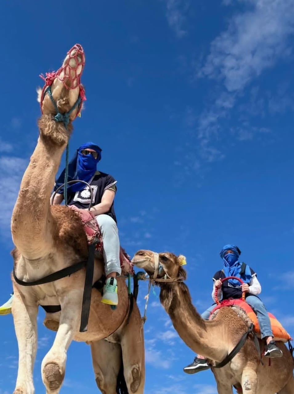 Traditional camel trekking experience at sunset