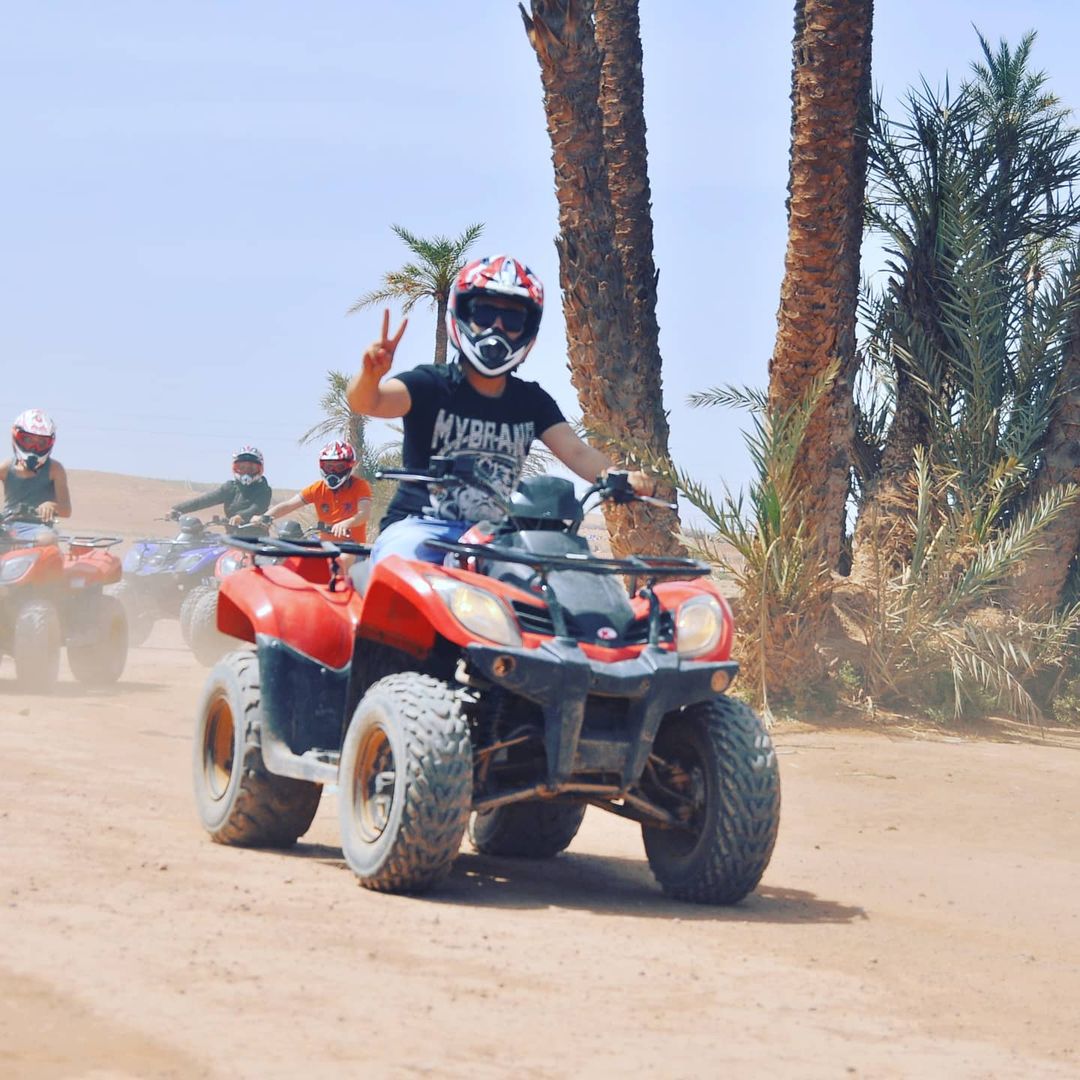 Palm Grove Exploration