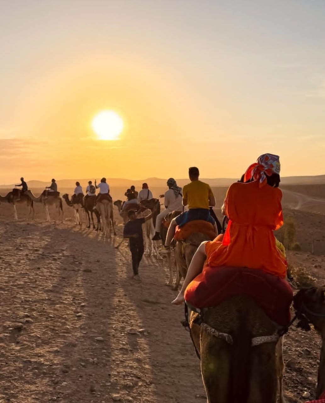 Sunset Camel Trek
